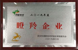 2018年度瞪羚企业